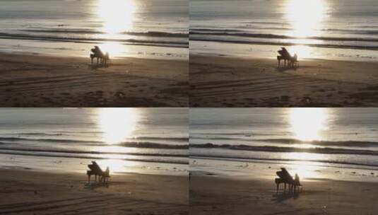 航拍沙滩上的钢琴师高清在线视频素材下载