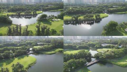 深圳高尔夫球场高清在线视频素材下载