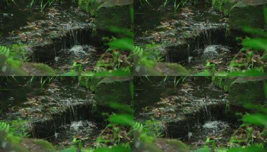 杭州虎跑下雨天绿色树林里的小溪流水声高清在线视频素材下载