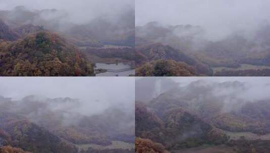 湖北神农架大九湖景区的阴雨秋天高清在线视频素材下载