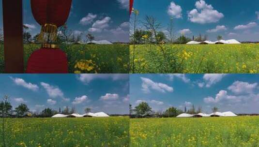 成都农业博览园，晴天，红灯笼，万亩油菜花高清在线视频素材下载