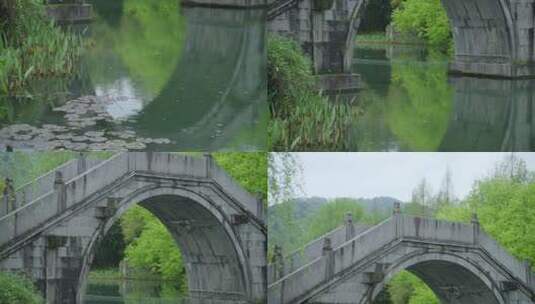 春天杭州乌龟潭阴雨天古建筑植物绿色自然高清在线视频素材下载