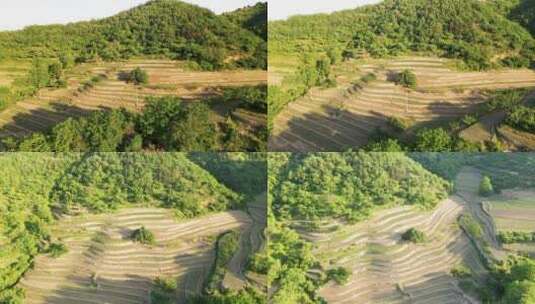 东北梯田 农田  土地高清在线视频素材下载