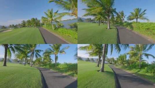 穿越机 高尔夫 草坪 路 椰子树高清在线视频素材下载