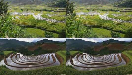 梯田水稻种植农业种植高清在线视频素材下载