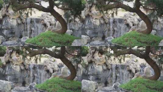 传统中式园林花园假山太湖石高清在线视频素材下载