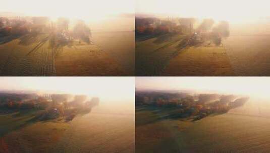 清晨阳光照射在田园间金色成熟的麦子高清在线视频素材下载