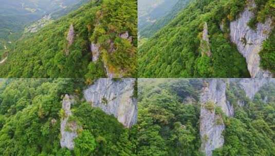 重庆五里坡国家级自然保护区葱坪全景高清在线视频素材下载