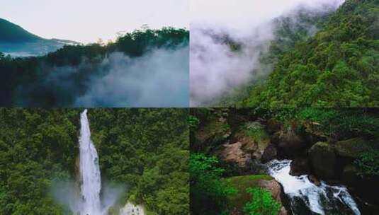 原始森林热带雨林雾气大自然风景合集高清在线视频素材下载