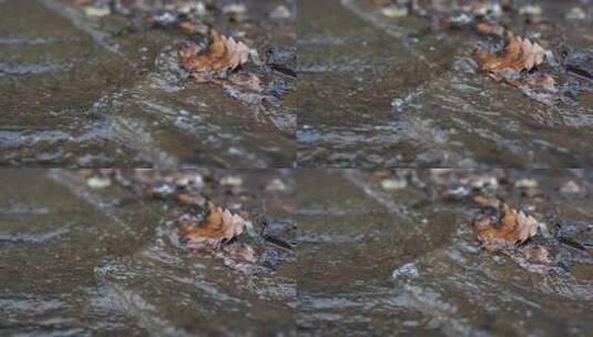 冰川 冰 结冰 万物复苏 水流 水 河流高清在线视频素材下载