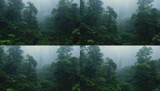 茂密雨林中大雨倾盆的自然景象高清在线视频素材下载