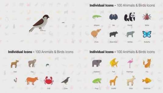 动感时尚鸟类动物图标动画片场AE模板高清AE视频素材下载