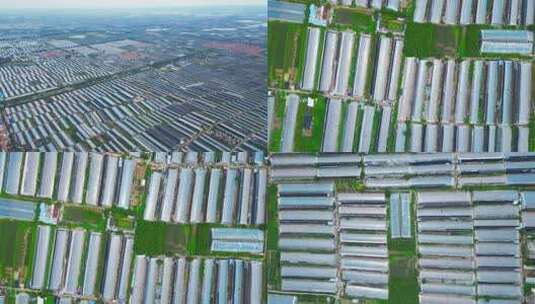 山东寿光蔬菜大棚航拍【4K60】高清在线视频素材下载