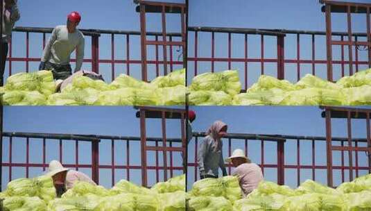 货车上装载的网袋大白菜高清在线视频素材下载