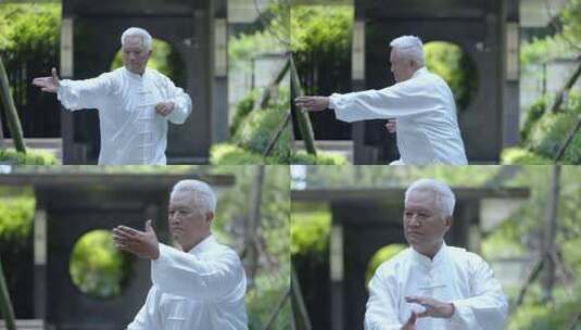 晨练太极老者打太极公园太极 传统武术展示高清在线视频素材下载