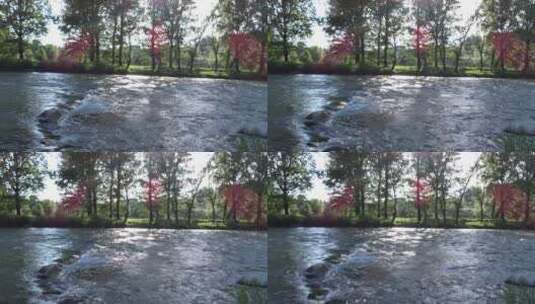 流动的河水高清在线视频素材下载
