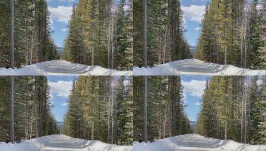 森林中白雪覆盖的小路高清在线视频素材下载