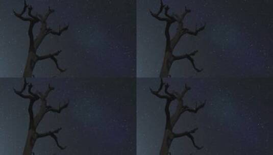 银河下的枯树高清在线视频素材下载