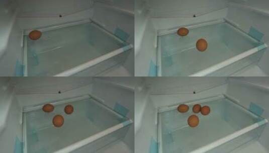 打开冰箱门储存鸡蛋码放鸡蛋高清在线视频素材下载