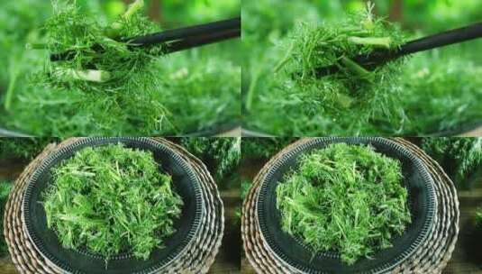 新鲜茴香菜高清在线视频素材下载