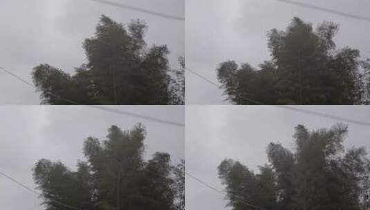 大风吹动树高清在线视频素材下载
