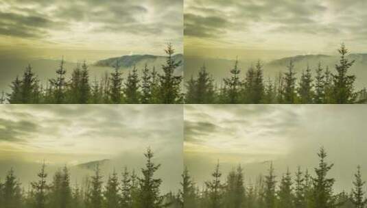 覆盖着雪林景观的雾高清在线视频素材下载