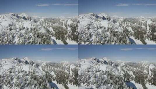 雪山松林景观高清在线视频素材下载