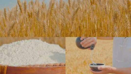 小麦田素材高清在线视频素材下载