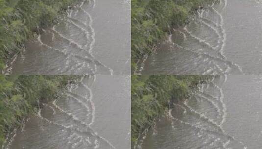 逆光拍摄雨后山路的金色水流LOG高清在线视频素材下载