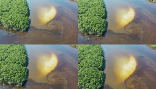 亚马逊河风景高清在线视频素材下载