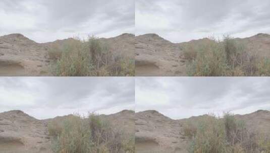 内蒙古 沙漠中的植物 戈壁 山丘 沙丘 组镜高清在线视频素材下载
