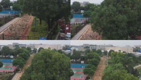 航拍深圳城市园林绿化高清在线视频素材下载