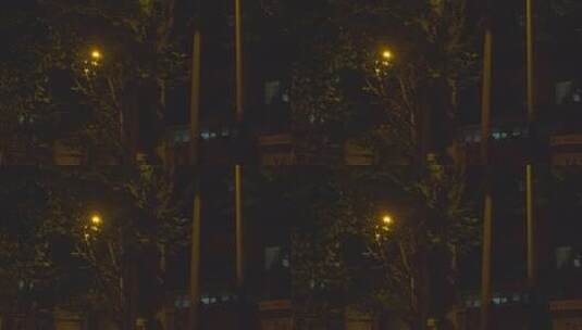 城市街道路灯高清在线视频素材下载