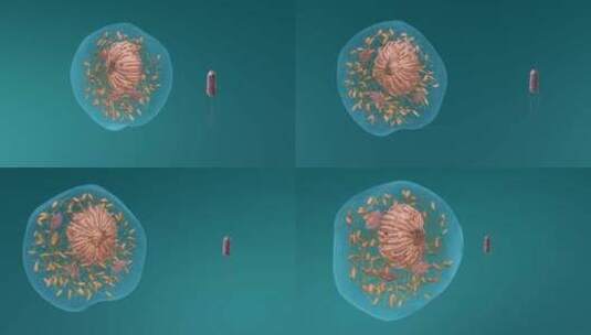 医学微观生物病毒细胞形态医疗三维动画展示高清在线视频素材下载