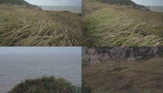 阴天海风吹草慢镜头高清在线视频素材下载