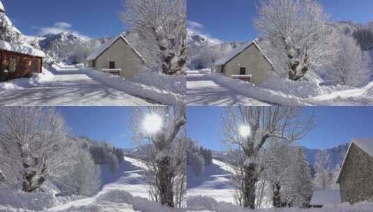 唯美大自然高山森林树林平原雪景特写高清在线视频素材下载