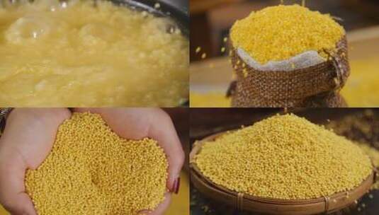 新鲜黄米高清在线视频素材下载