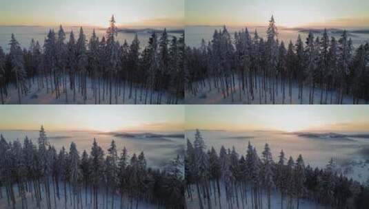 雪域森林雾凇云海航拍高清在线视频素材下载