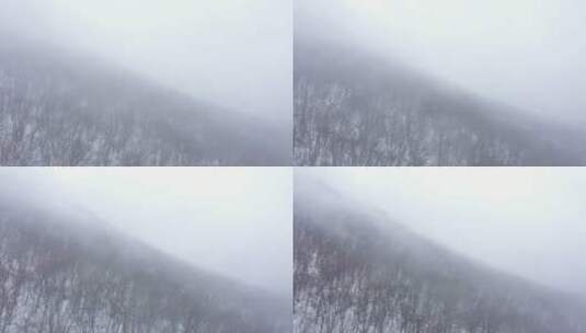 安吉 安吉雪景 安吉秋天 冬季 雪景高清在线视频素材下载