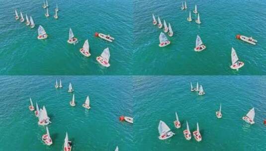 青岛帆船海上帆船航拍高清在线视频素材下载