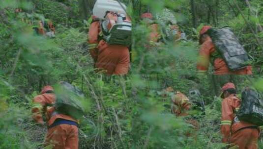 森林防火护林工作人员进森林日常巡护高清在线视频素材下载