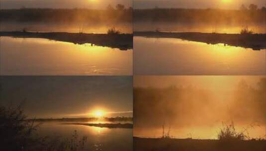 仙境般的黄昏夕阳下湖面雾气弥漫芦苇丛高清在线视频素材下载