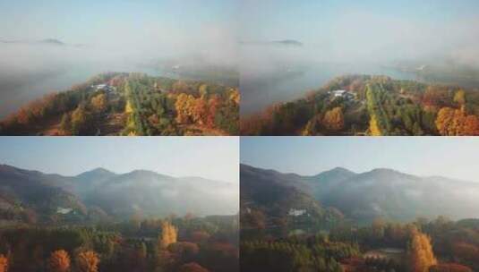 秋天的风景早晨晨雾航拍高清在线视频素材下载