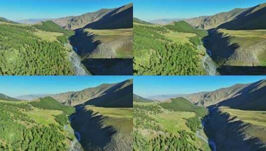航拍新疆东天山原始森林高山草原风光高清在线视频素材下载