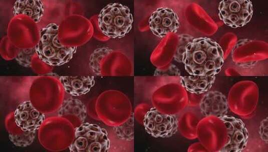 血液细胞和人体的病毒细胞高清在线视频素材下载