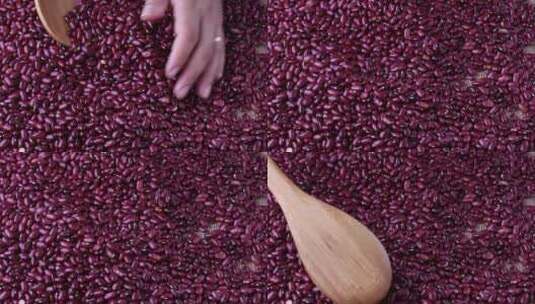 红豆 红豆产品 红小豆 红豆农产品豆制品高清在线视频素材下载