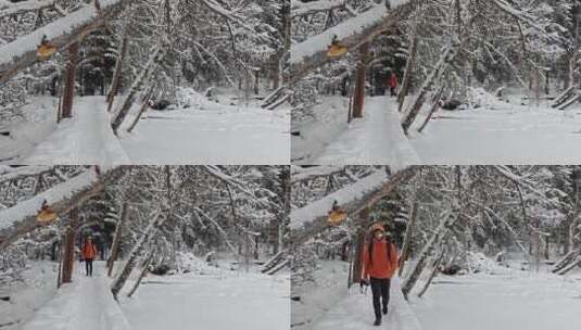 摄影师走在新疆喀纳斯雪后的森林栈道上高清在线视频素材下载