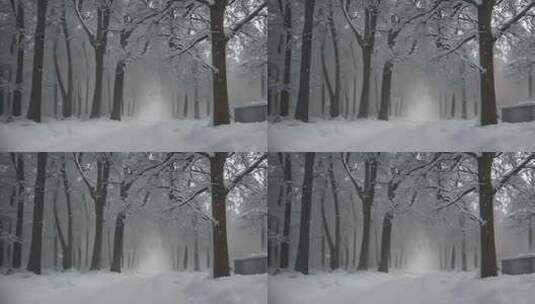 冬天雪地特写雪天风景下雪风光唯美冬季雪景高清在线视频素材下载