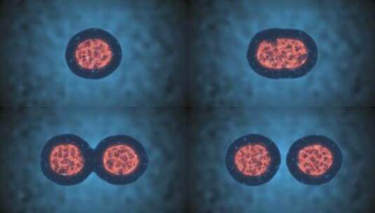 细胞分裂或克隆细胞高清在线视频素材下载
