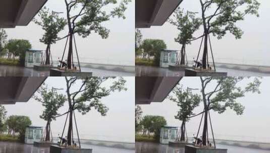 杭州钱塘江江东大桥下暴雨视频素材高清在线视频素材下载